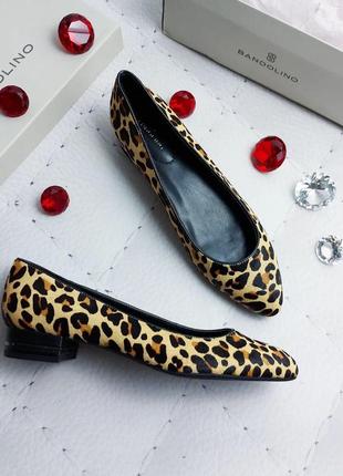 Bandolino оригінал класичні туфлі на невеликому каблуці під леопард, хутро поні2 фото
