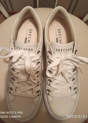 Skechers2 фото