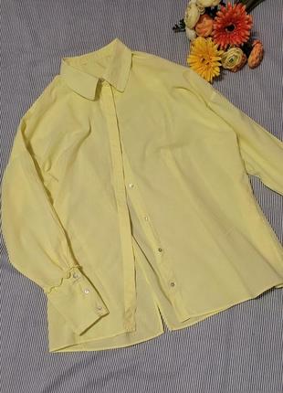 Сорочка блуза бавовна 1002 фото