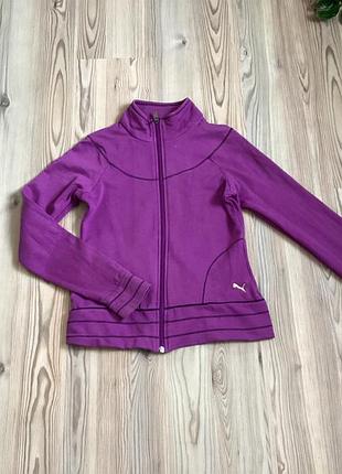 Пайта puma оригинал