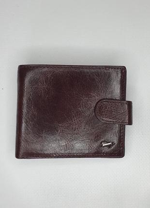 Braun buffel 658