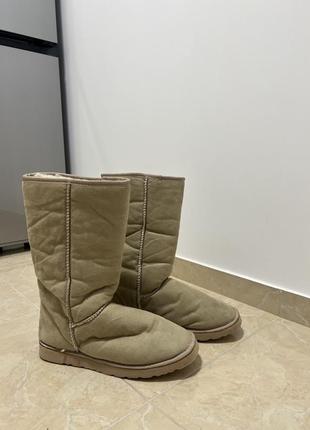 Чоботи ugg1 фото