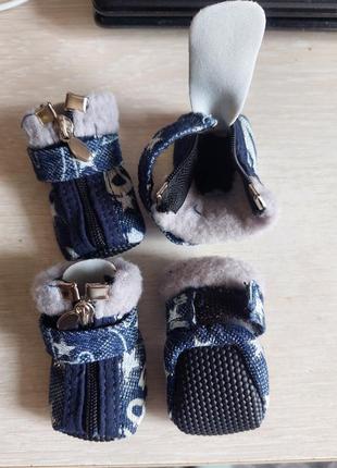 Взуття для йорка,чiхуахуа,тойчика