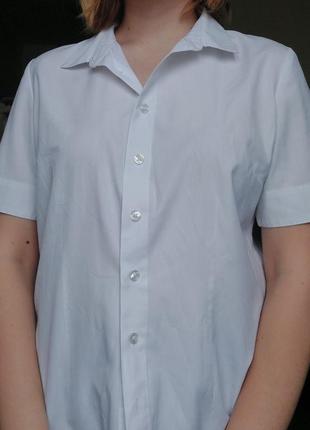 Классическая рубашка блуза2 фото
