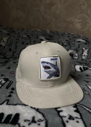 Бейсболка shark