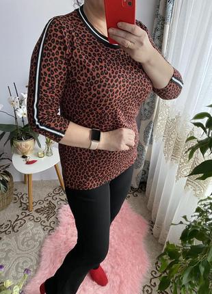 Класнюча кофтинка