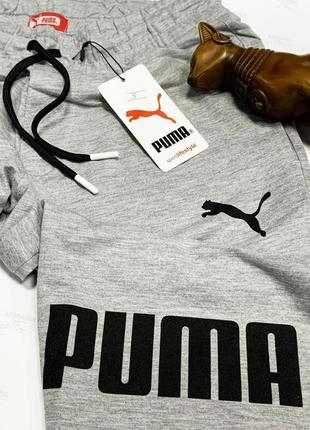 Шорты puma summer gray3 фото