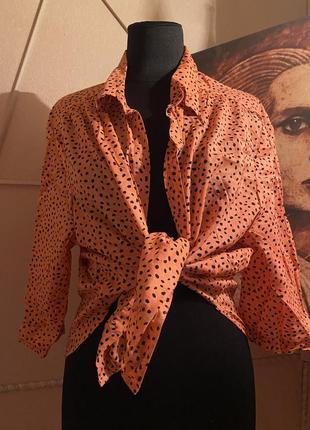 Натуральна блуза