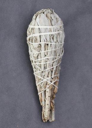 Каліфорнійський білий шавлія-сокушка 10 см nn051-s5 фото