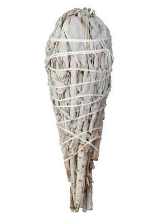 Каліфорнійський білий шавлія-сокушка 10 см nn051-s7 фото