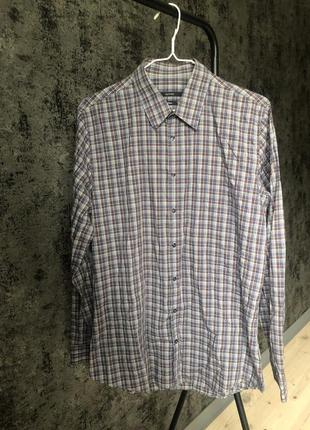 Рубашка gucci skiny