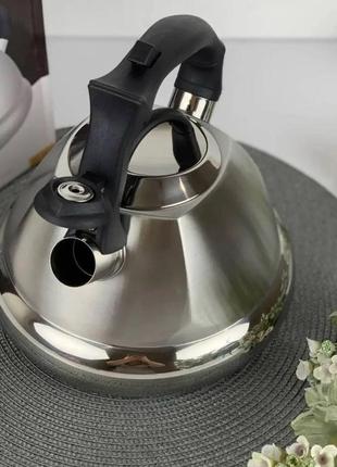 Чайник із неіржавкої сталі зі свистком 3 л. edenberg eb-8824 чайник для індукційної плити чайник газовий3 фото
