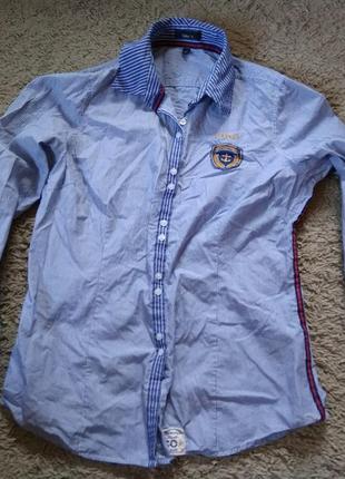 Стильна сорочка