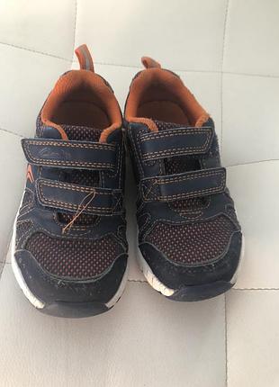 Стильные кросовки clarks 5