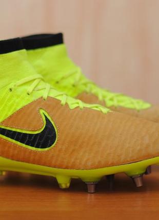 magista 41