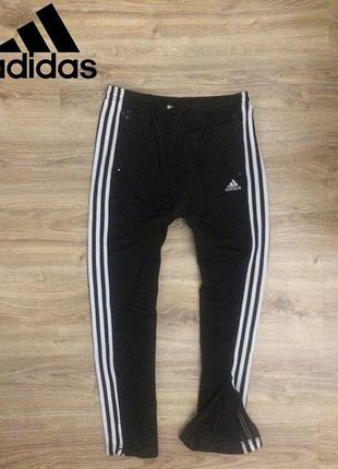 Спортивные штаны от фирмы adidas1 фото