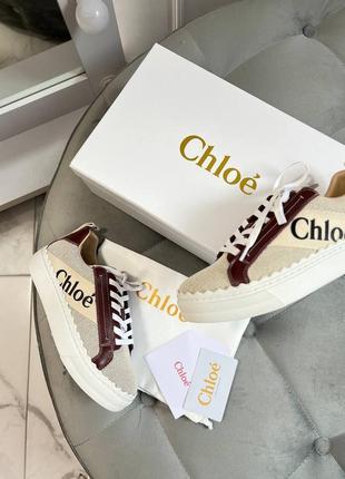 Кеды текстиль в стиле chloe4 фото