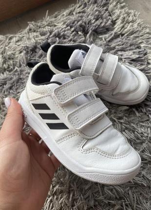 Кроссовки белые adidas 251 фото