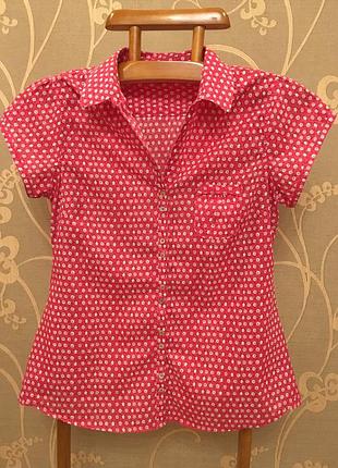 Величезний вибір красивих блуз і сорочок!