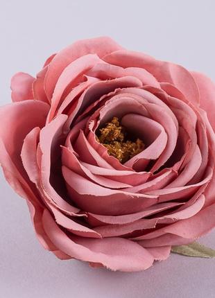 Головка розы английский сливовая. качество!!!!!1 фото