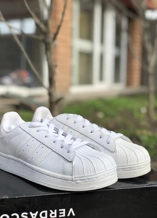 Adidas superstar 2