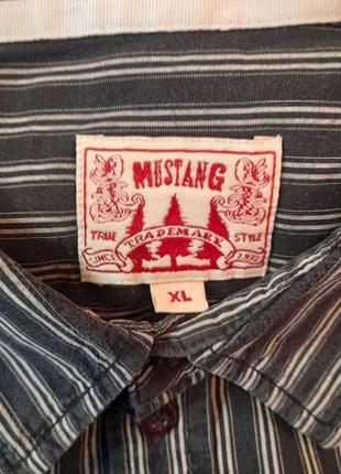 Мужская рубашка mustang4 фото