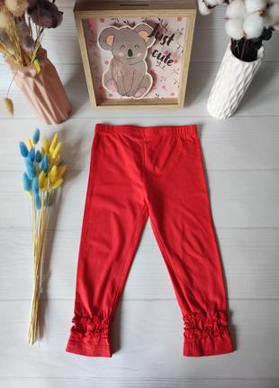 Лосины, леггинсы 12-18мисс m&amp;co