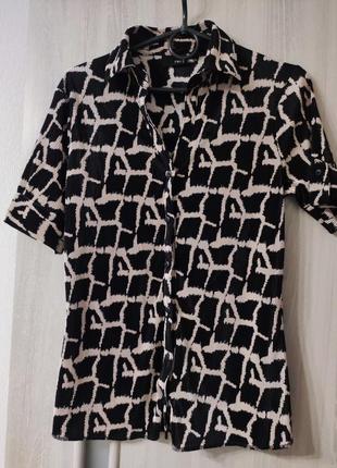 Жіноча рубашка в черепашковий принт