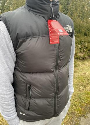 The north face