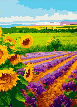 Картина за номерами нескінчені простори ac10589