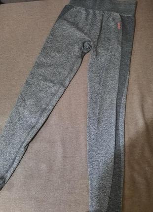 Легінси gymshark