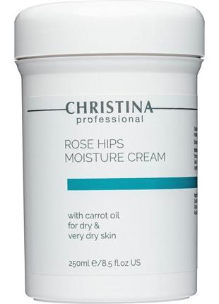 Увлажняющий крем с маслом шиповника и моркови для сухой кожи christina rose hips moisture cream 250 мл