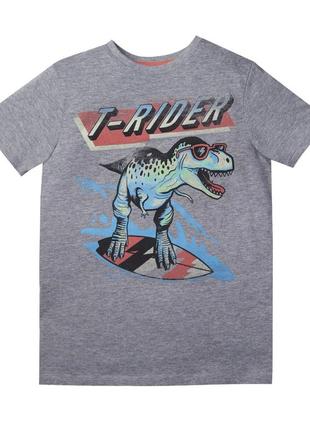 Футболка сіра  на хлопчика з динозавром primark