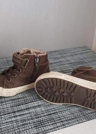 Кожаные утепленные кеды коричневые кроссовки zara ботинки2 фото