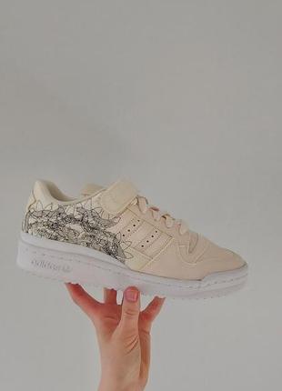 Кроссовки кроссовки adidas forum 84low w gx5074