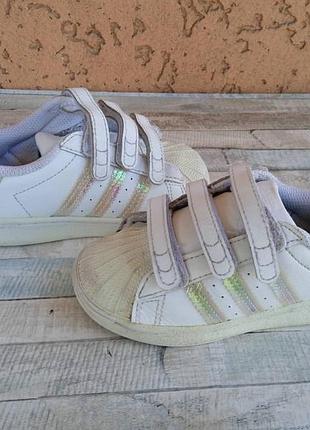 Кеды adidas