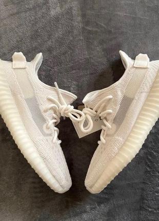 Yeezy 350v2 bone