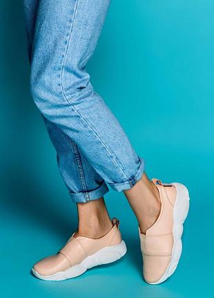 Slip-on ted ! натуралка! тed toy collection! різні забарвлення!