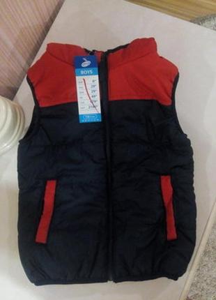 Дитячий демісезонний жилет жилетка з капюшоном для хлопчика і для дівчинки 3-5 років 110 р.