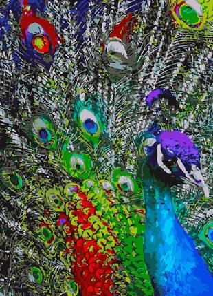 Картина по номерам разноцветные перья павлина 40х50см strateg