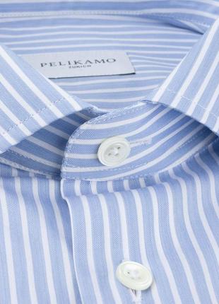 Рубашка pelikamo shirt bold stripes blue