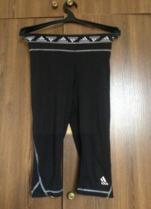 Бриджи, капри, велосипедки adidas climalite