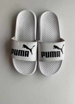 Тапочки puma2 фото