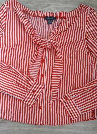 Рубашка,блуза,блузка в полоску р.м (10)