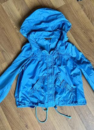 Ветровка летняя синяя голубая блакитна