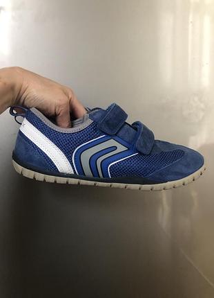 Кросівки , мокасини geox