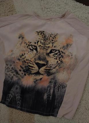 Футболка блуза