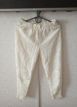 Лосини 44-46 р.