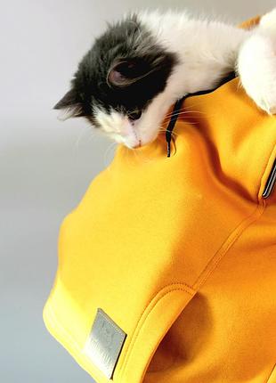 Худі для прогулянок і теплих обіймів з котиками, котожама 3