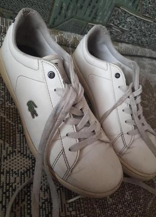 Кроссовки arancione lacoste